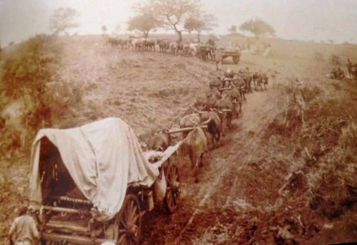 An atmospheric old photo of a wagon train in progress