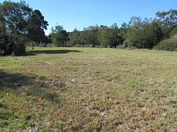 In the Distance is the Torrens River Area which is Choked with Bush