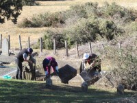 Working Hard Scrubbing Down the Graves